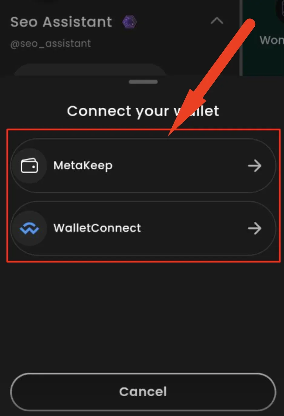 how to connect crypto wallet on Belong account?